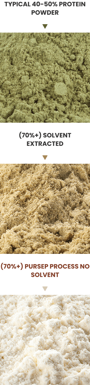 Powder section mobile-min