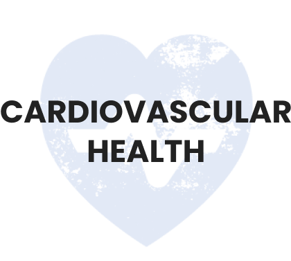 Cardiovascular-min