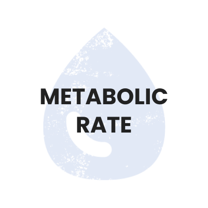 Metabolic rate-min
