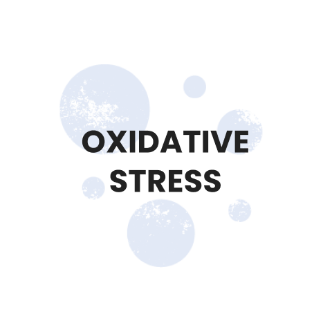 Oxidative stress-min